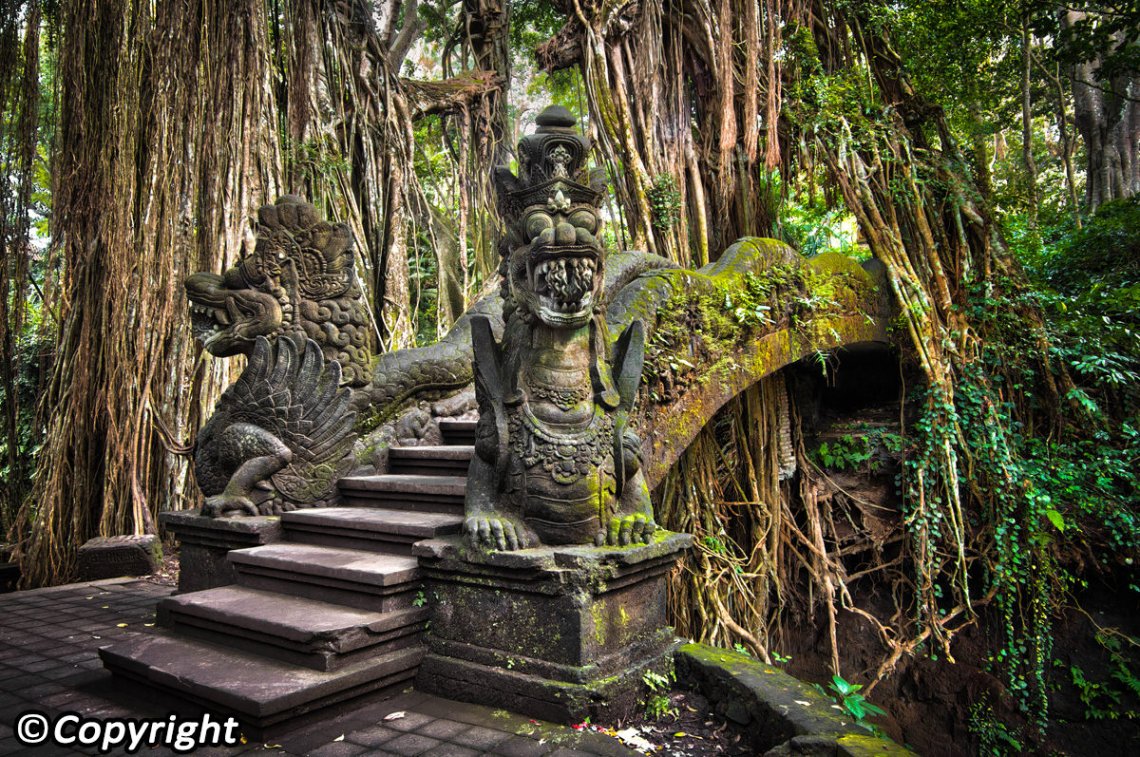 Hutan Kera Di Bali, Salah Satu Wisata Favorit Di Bali