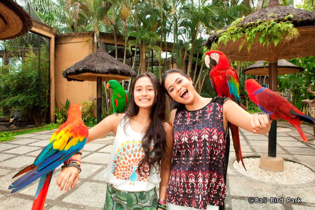 Bali Bird Park & ​​Reptile Park Pilihan Wisata Keluarga Di Bali