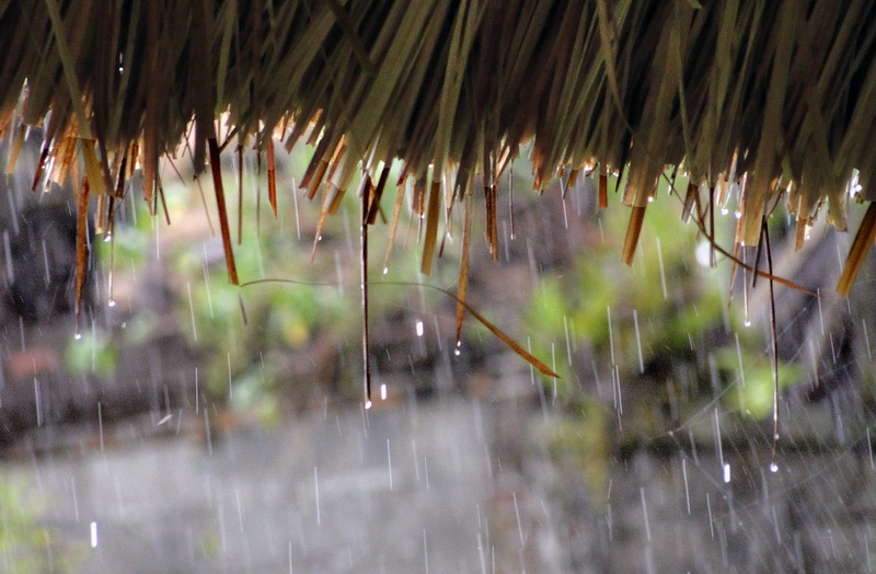 Kegiatan Yang Tetap Bisa Dilakukan di Bali Saat Musim Hujan